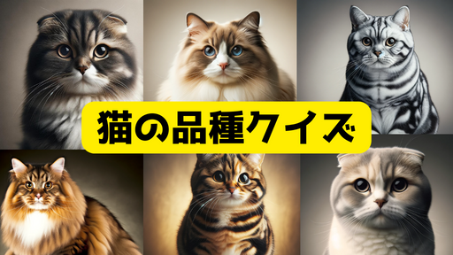 猫の品種クイズ
